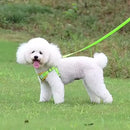 Coleira Peitoral para Cachorro Pequeno e Médio porte com Guia – Colete Confortável com Fita Refletiva