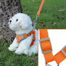 Coleira Peitoral coleira para cachorro com guia para pet pequenos e médios colete confortável