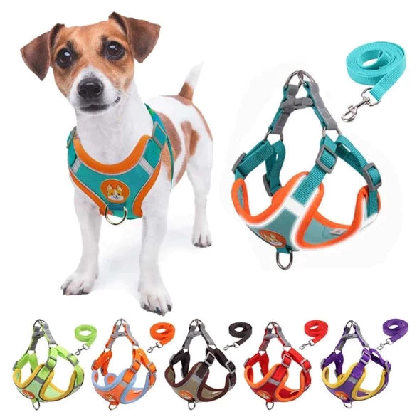 Coleira Peitoral para Cachorro Pequeno e Médio porte com Guia – Colete Confortável com Fita Refletiva