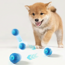 Bola de rolamento automática Bola Eletrônica para Cachorros Bola Interativa Inteligente Pet LED