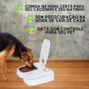 Comedouro Para Cães e Gatos Com Timer Automático - AT UTILIDADES